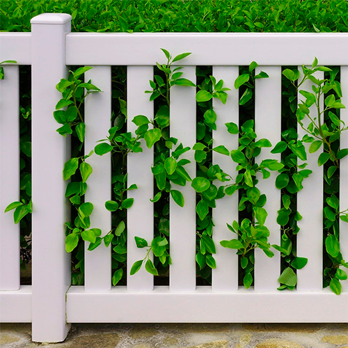 Clôture pvc blanc