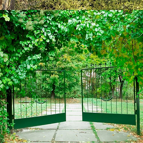 Portail battant alu vert sur mesure